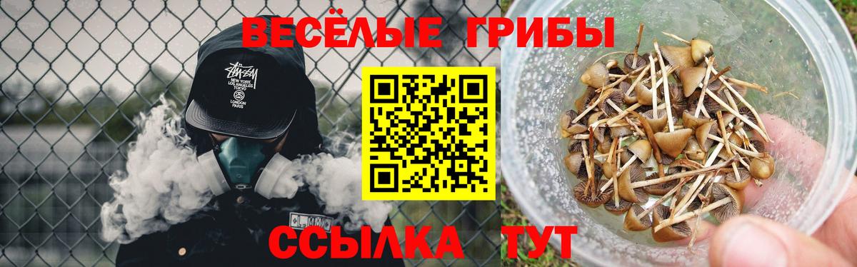 Псилоцибиновые грибы прущие грибы  Вход с VPN  Знаменск 